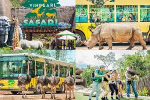 Thế Giới Động Vật Muôn Màu Ở Vinpearl Safari Phú Quốc